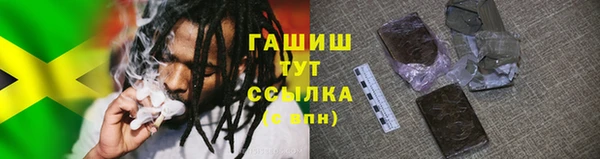 МДПВ Богородск