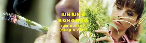 дмт Богданович