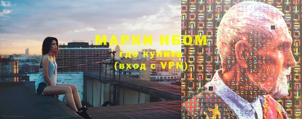 дмт Богданович