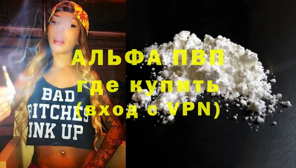 дмт Богданович
