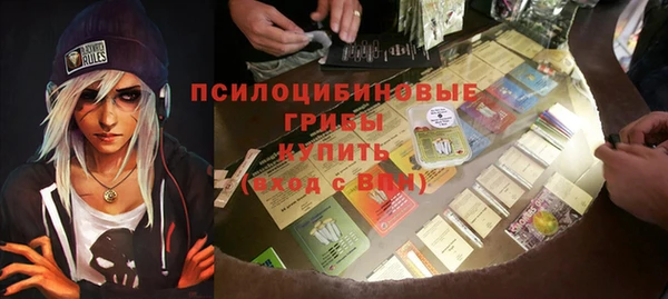 МДПВ Богородск