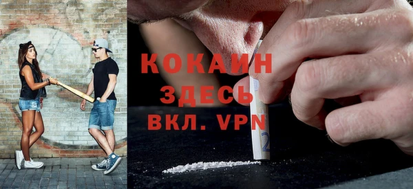 дмт Богданович