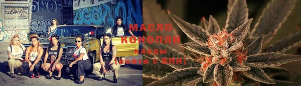 МДПВ Богородск
