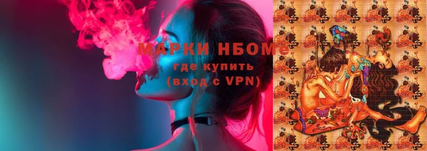 дмт Богданович